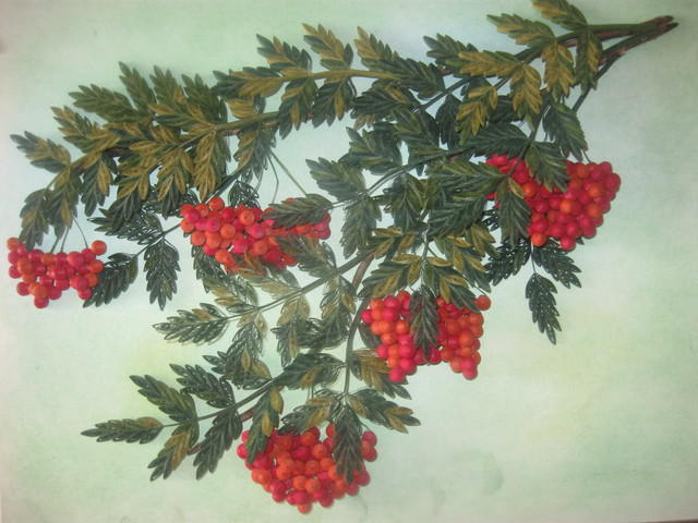 ������� ��� ����� ������ ������